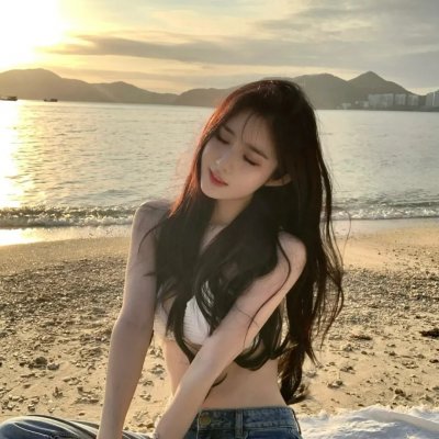 鸽之翼